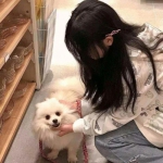妖姬三国志bt公益服送vip下载